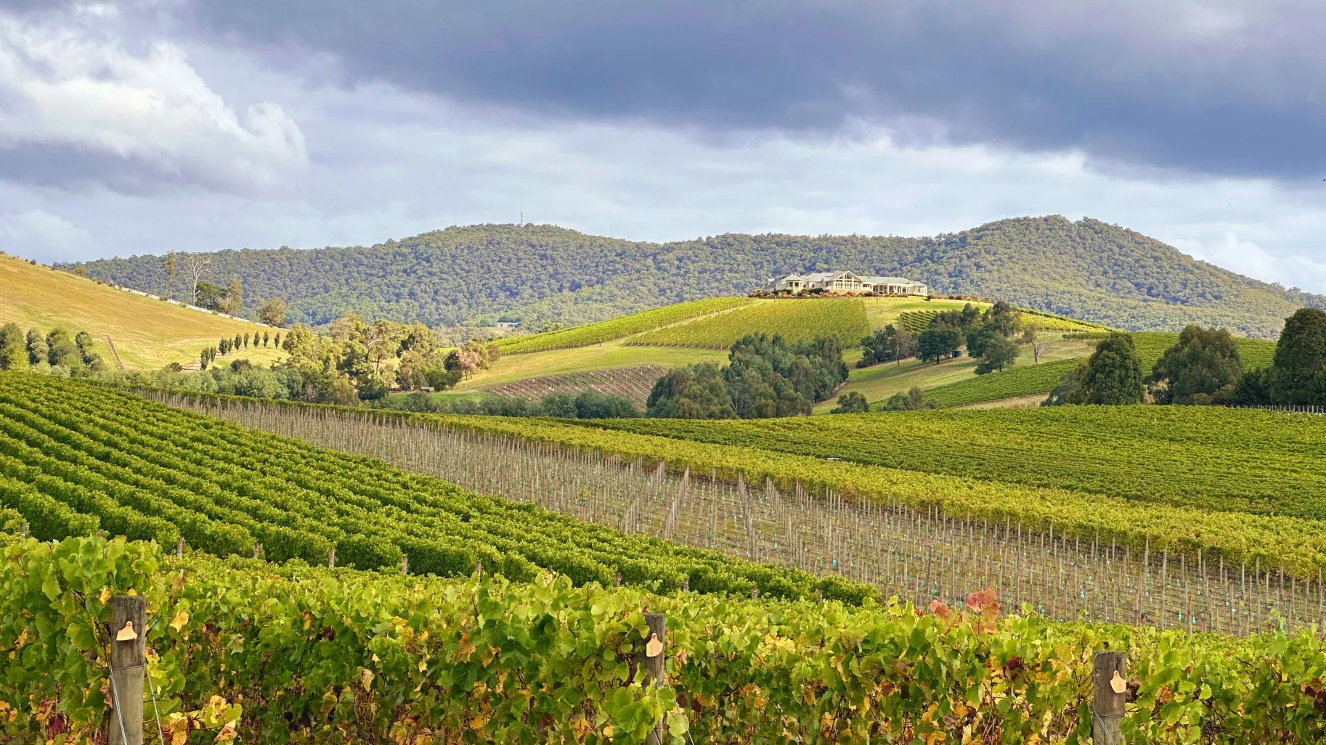 Yarra Valley Wine Tour - Melbourne private tour experience